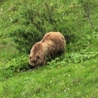 Screen Shot 2016-07-13 at 12.30.08 AM.jpg